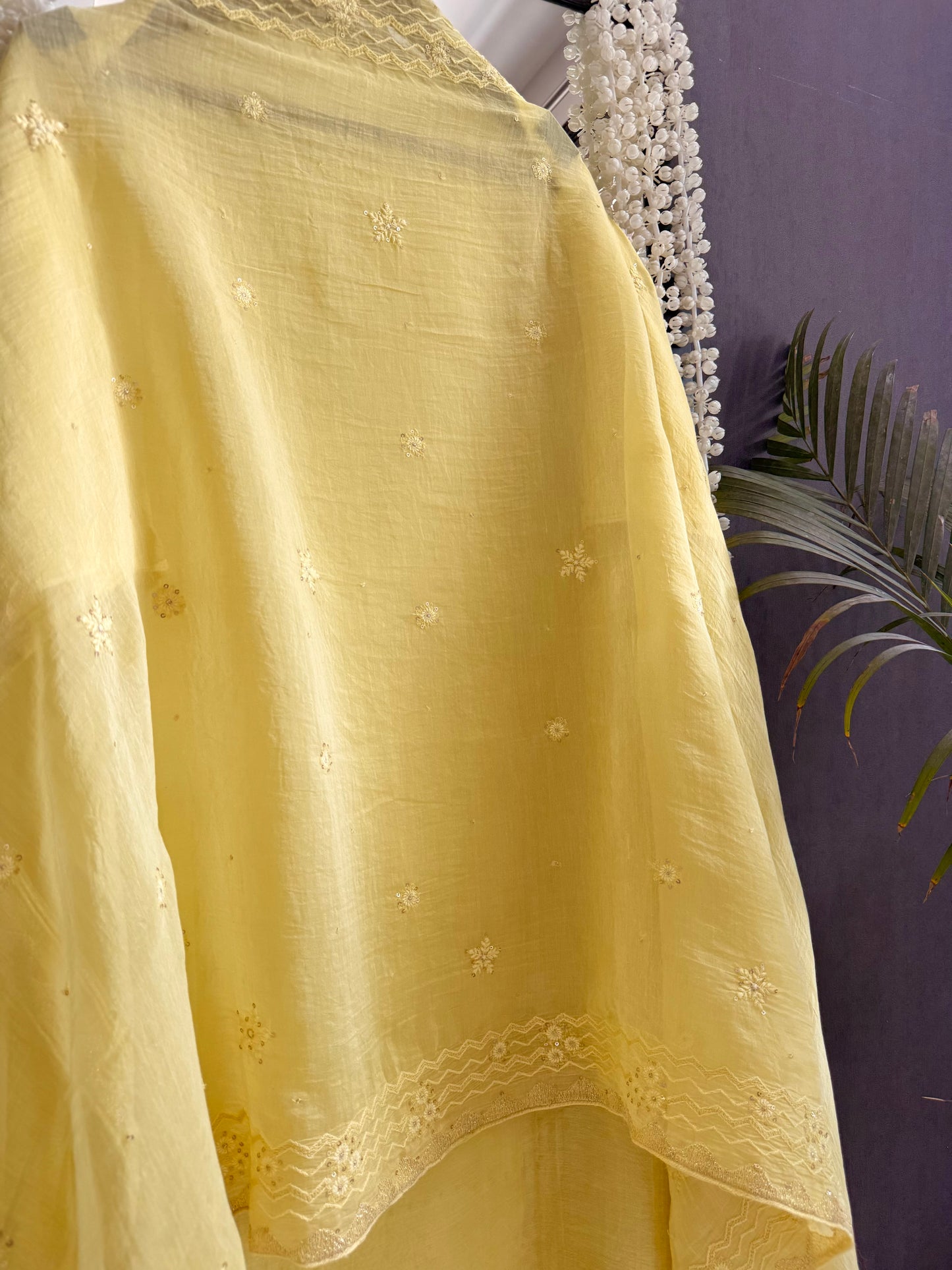 Luxurious Mul chanderi lucknowi paisley suit