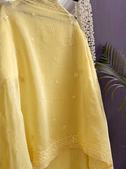 Luxurious Mul chanderi lucknowi paisley suit