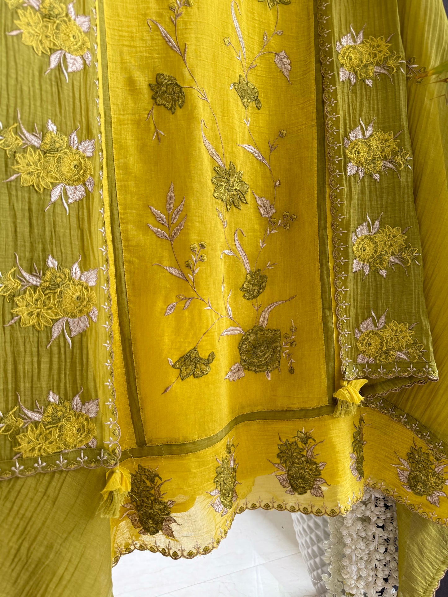 Luxurious Mul chanderi appliqué floral suit