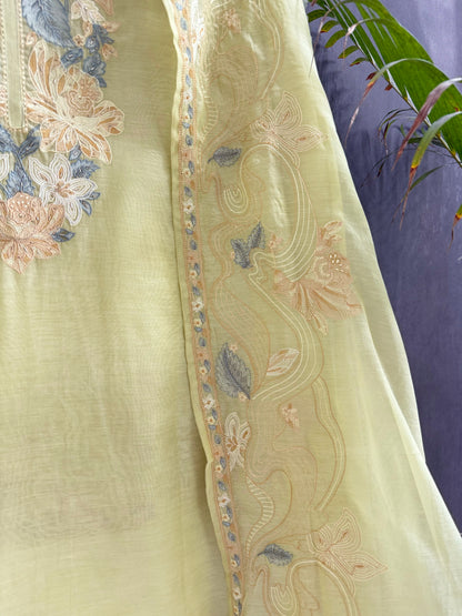 Luxurious Mul chanderi threadwork floral suit