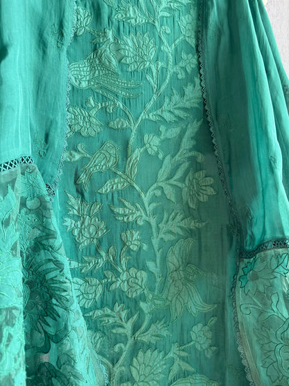 Luxurious organza appliqué work birds suit