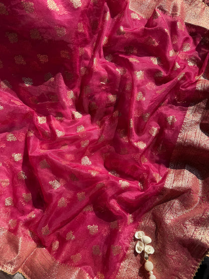 Mirror Benarsi Tissue silk suit