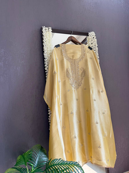 Luxurious Tissue silk aari work suit