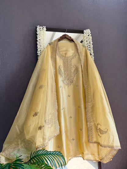 Luxurious Tissue silk aari work suit