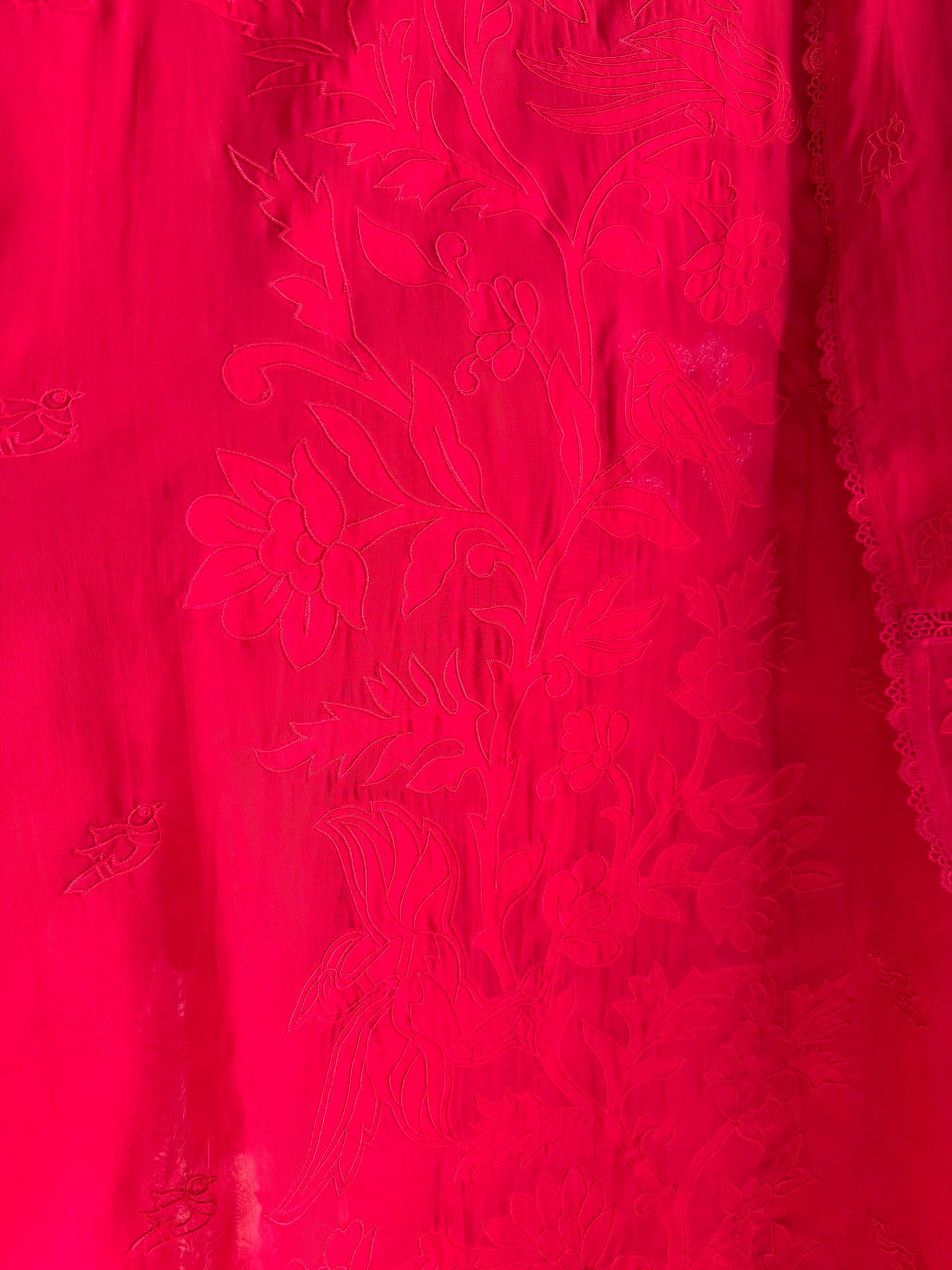 Luxurious organza appliqué work birds suit