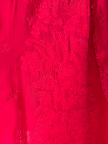 Luxurious organza appliqué work birds suit