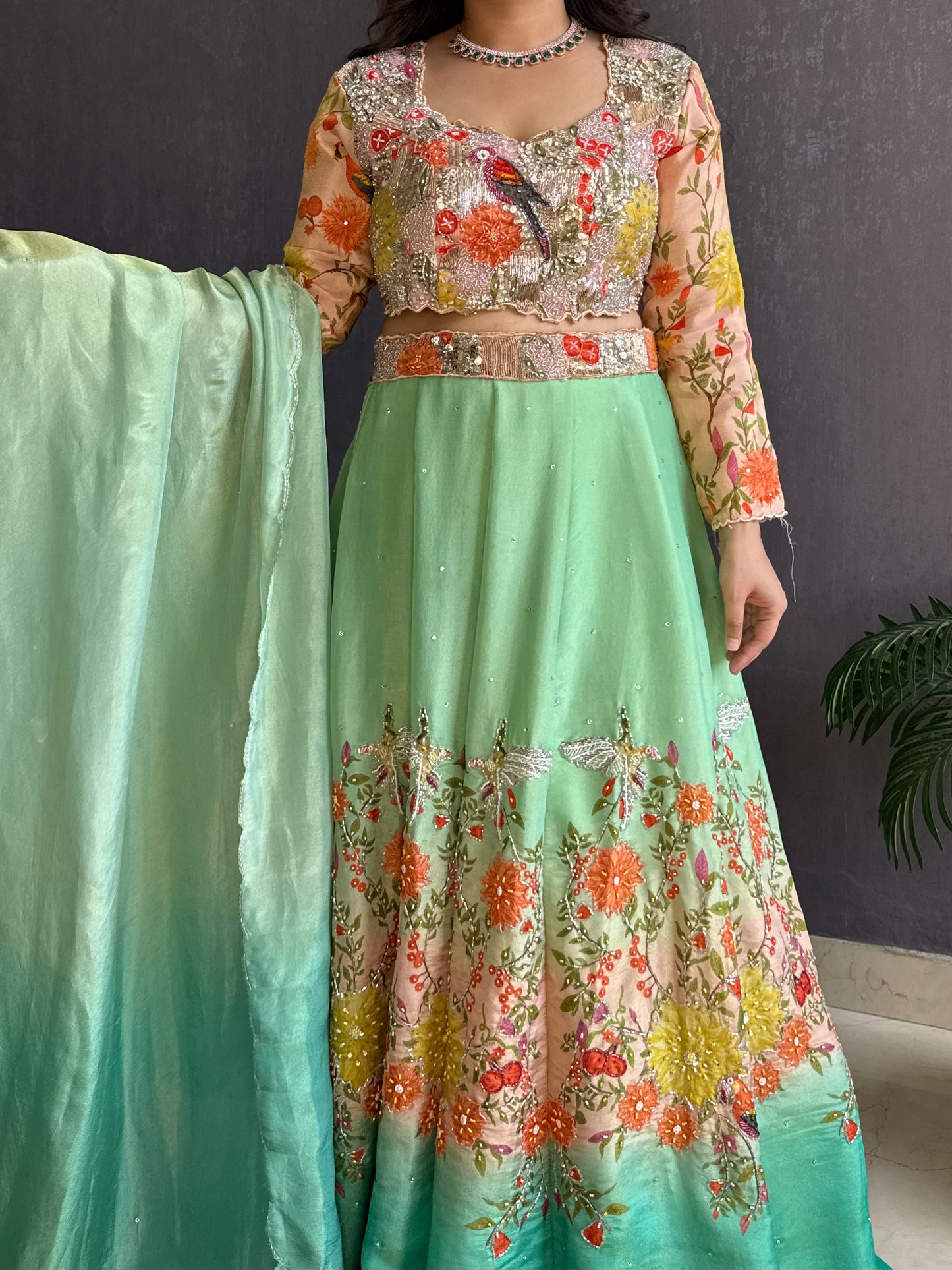 Handwork birds ombré Lehenga set