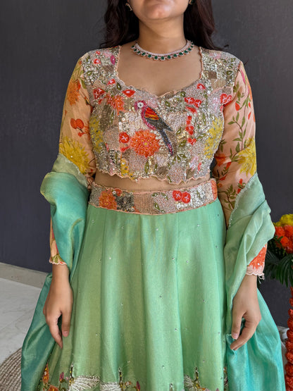 Handwork birds ombré Lehenga set