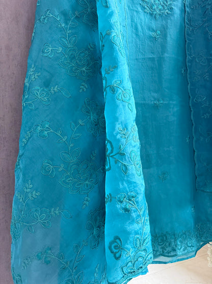 Luxurious monochromatic thread work suit