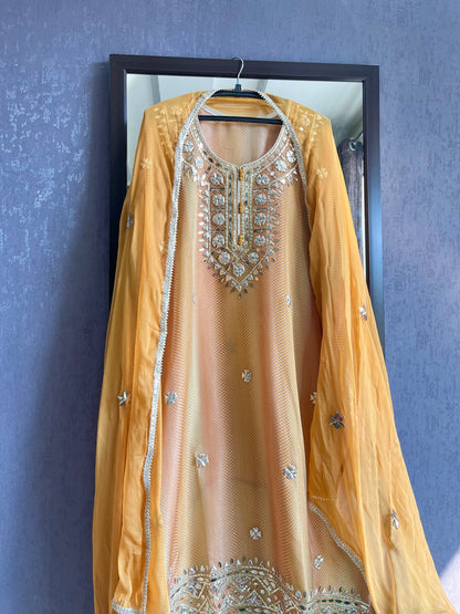 Gotta patti Tissue organza silk suit