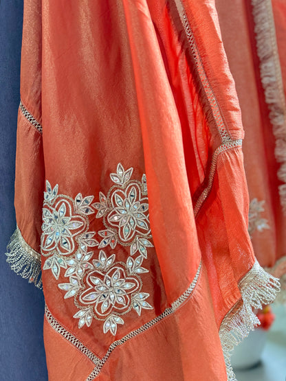 Luxurious brocade benarsi Mirror suit
