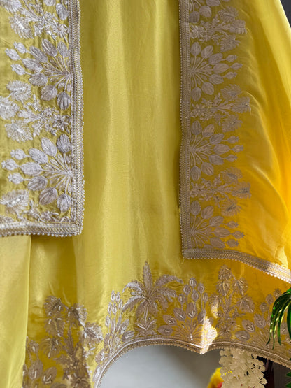 Luxurious Aari work handwork suit