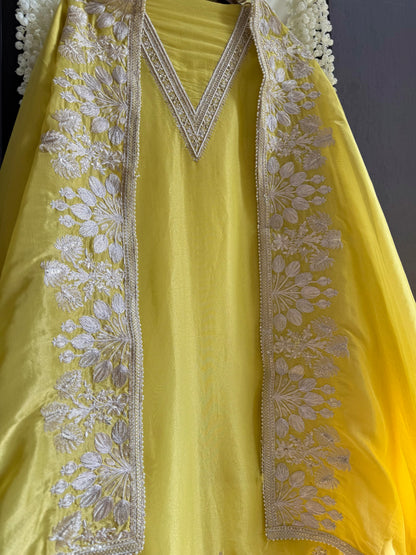 Luxurious Aari work handwork suit