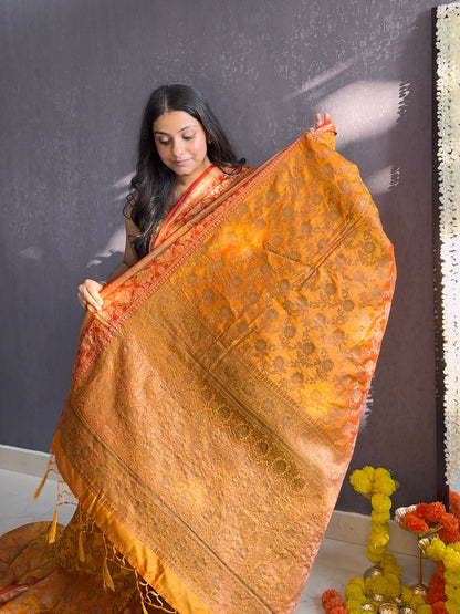 Benarsi saree