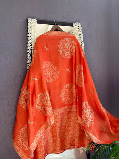 Resham Brocade Benarsi birds suit