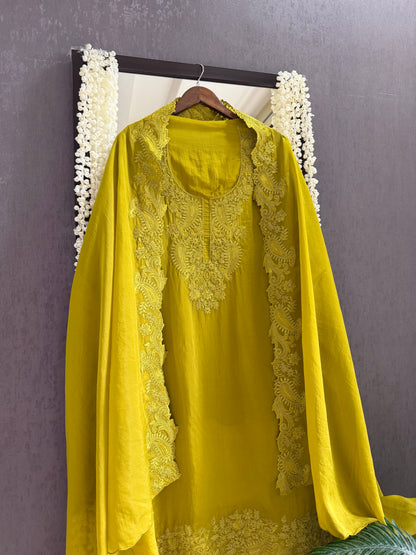 Luxurious aari work organza suit