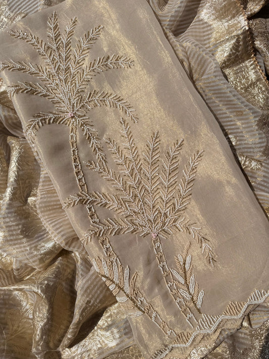 Luxurious Handwork Tissue Benarsi silk suit