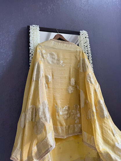 Zardozi Benarsi suit