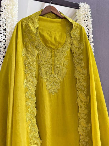 Luxurious aari work organza suit