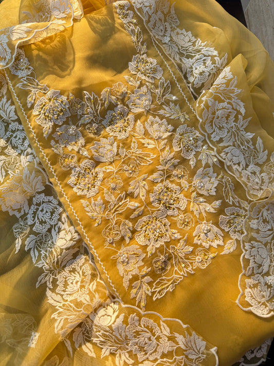 Parsi work florals Handwork suit