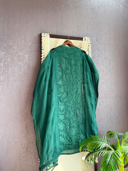 Luxurious organza appliqué work birds suit