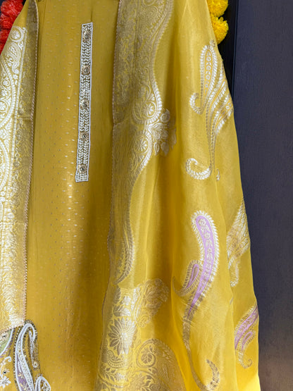 Luxurious handwork Tissue Benarsi silk suit