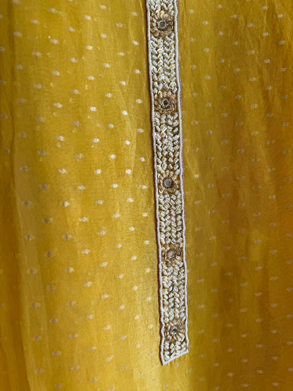 Luxurious handwork Tissue Benarsi silk suit