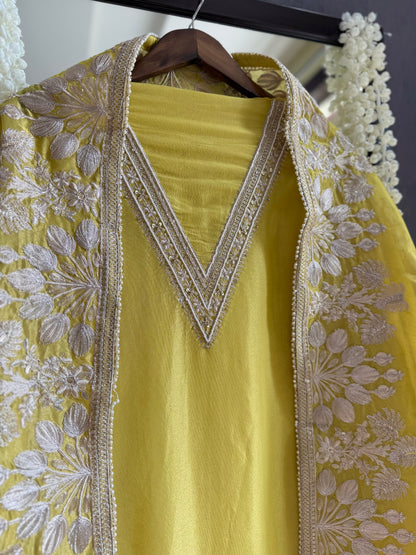 Luxurious Aari work handwork suit