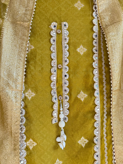 Mirror Benarsi Tissue silk suit