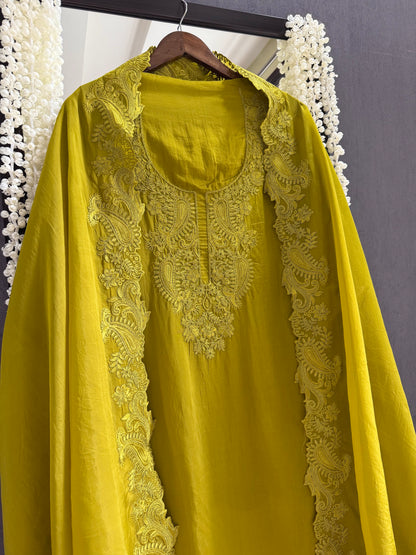 Luxurious aari work organza suit