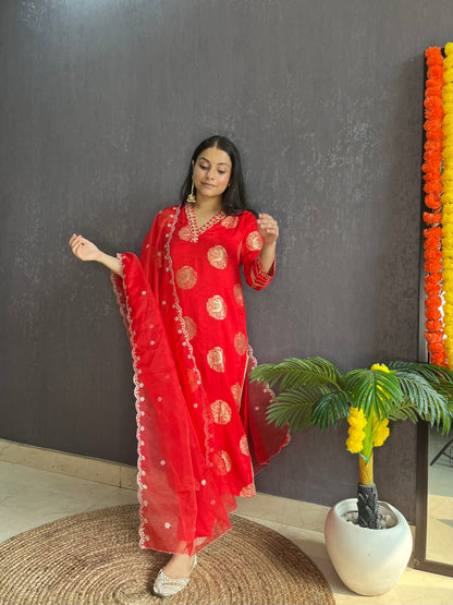 Benarsi aari work silk set