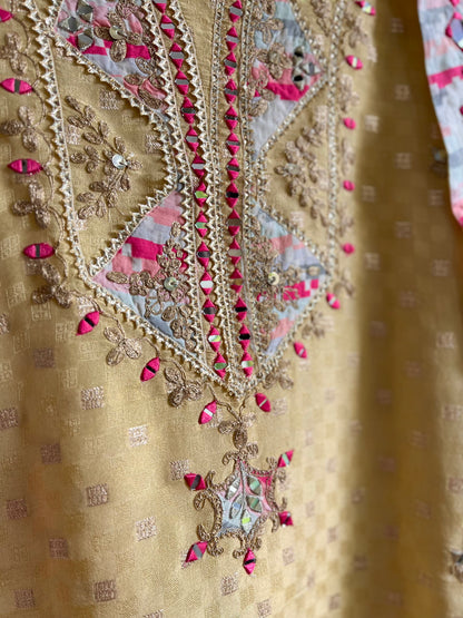 Luxurious sheesha aari work Tissue silk suit