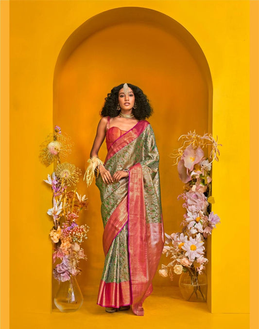 Dharmavaram silk birds woven saree
