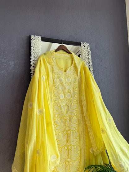 Luxurious Mul chanderi lucknowi handwork suit