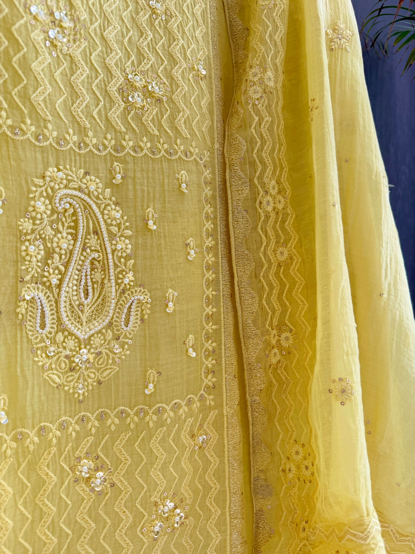 Luxurious Mul chanderi lucknowi paisley suit