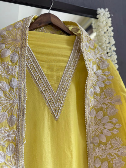 Luxurious Aari work handwork suit