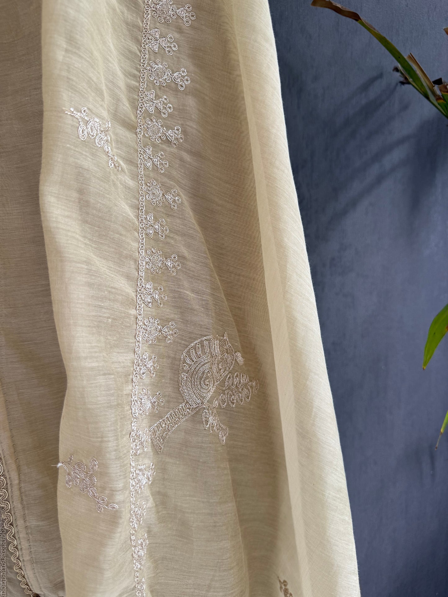 Luxurious Mul chanderi dori sitara suit