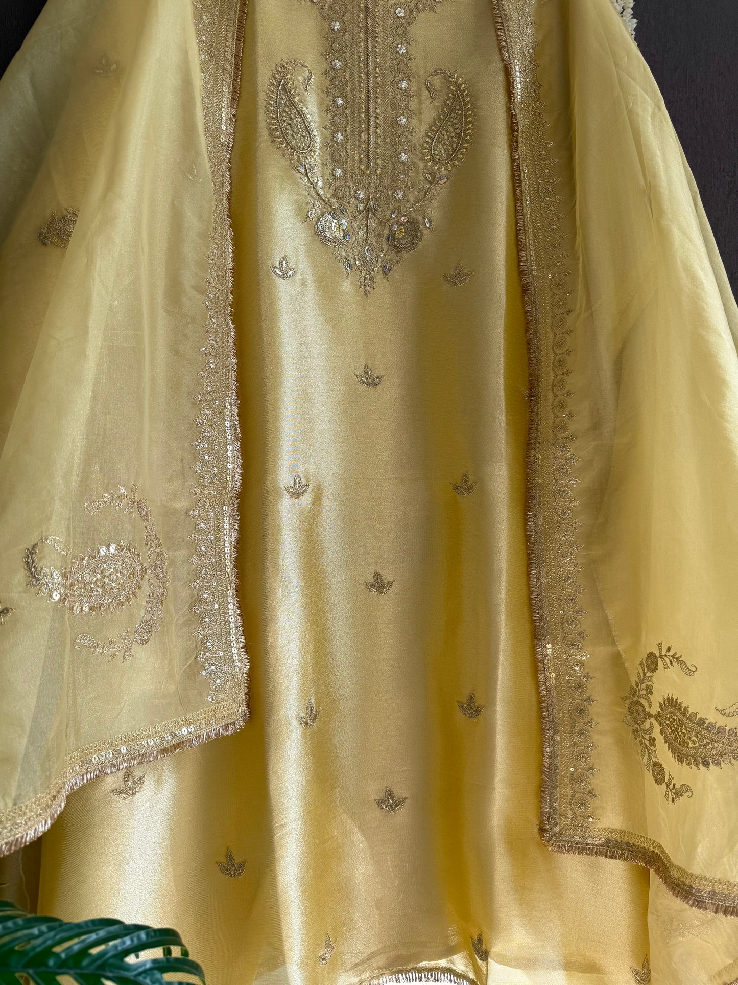 Luxurious Tissue silk aari work suit