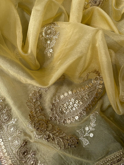 Luxurious Tissue silk aari work suit