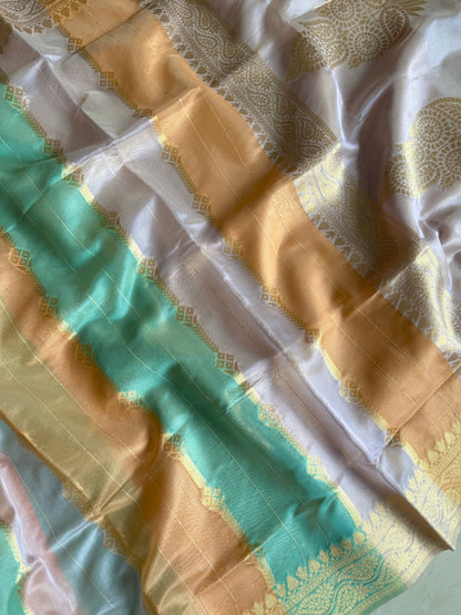 Organzas sequins saree