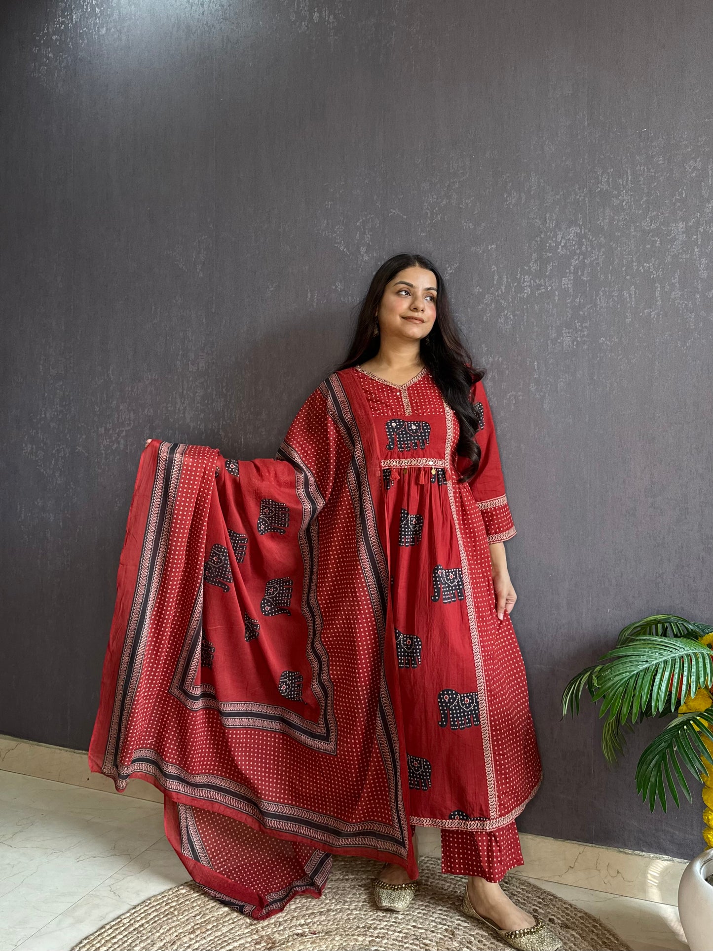 Ajrakh elephants handwork A line suit set