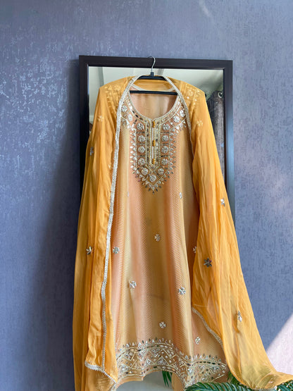 Gotta patti Tissue organza silk suit