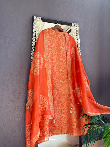 Resham Brocade Benarsi birds suit
