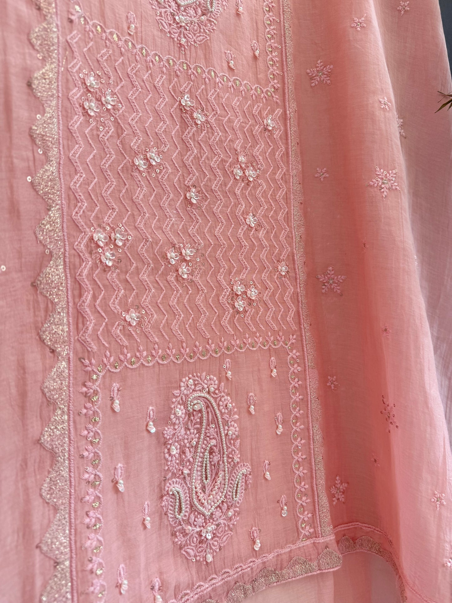 Luxurious Mul chanderi lucknowi paisley suit