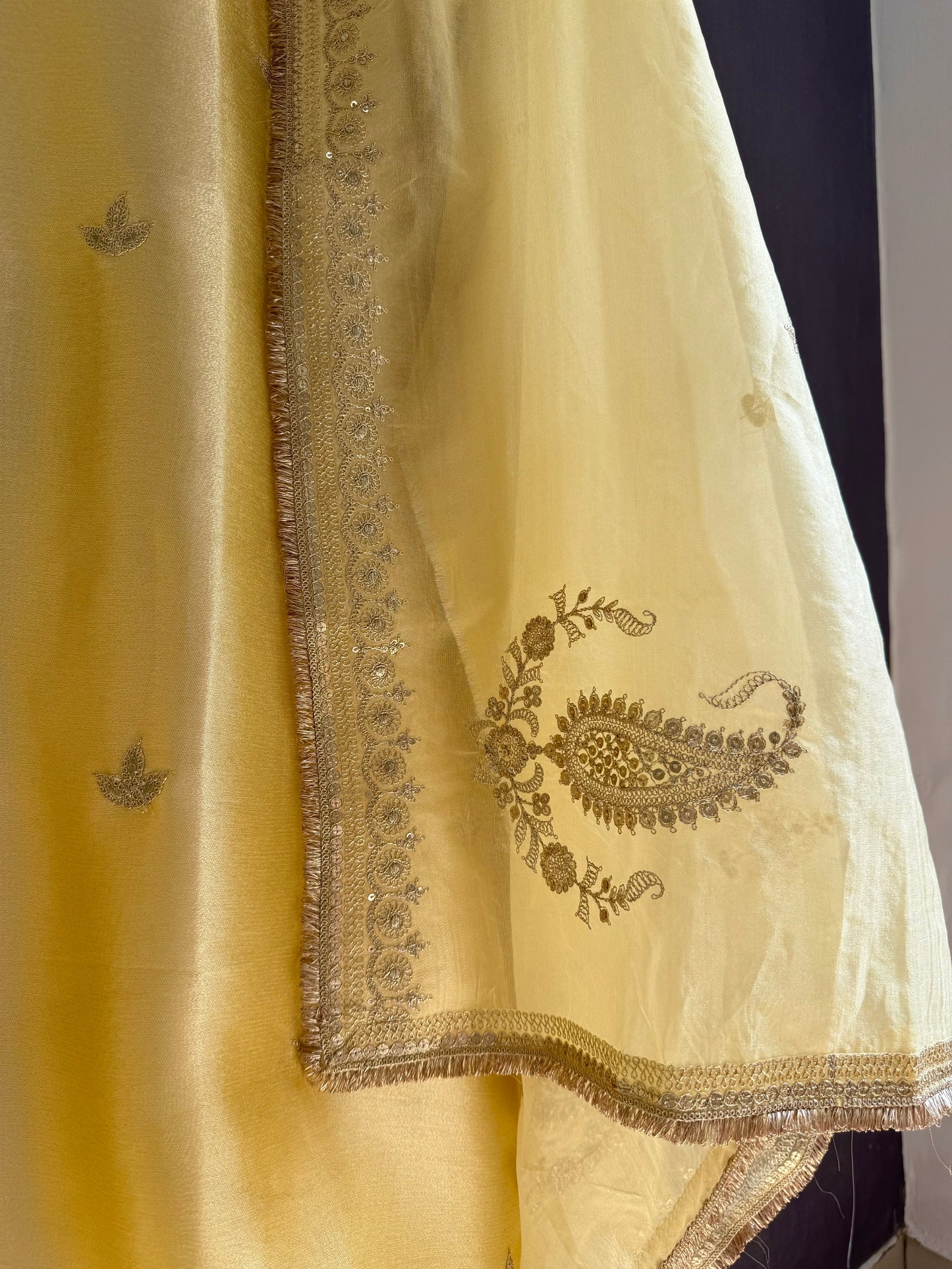 Luxurious Tissue silk aari work suit