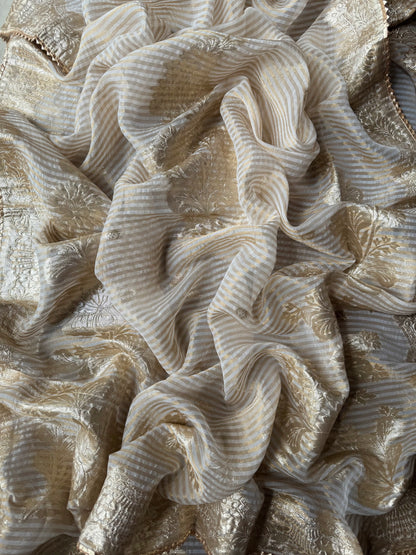 Luxurious Handwork Tissue Benarsi silk suit