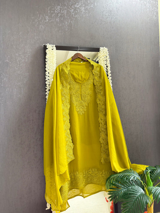 Luxurious aari work organza suit