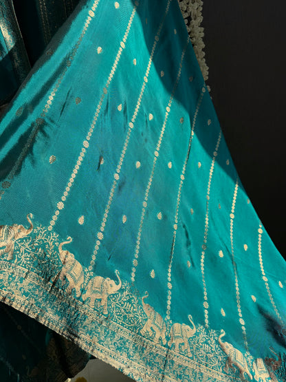 Resham elephant Benarsi silk suit