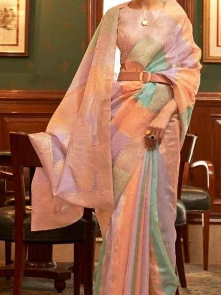 Organzas sequins saree