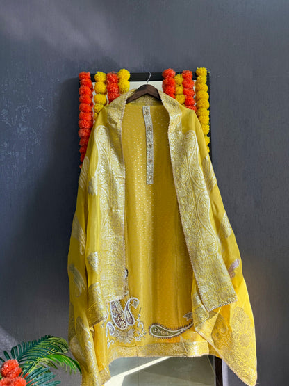 Luxurious handwork Tissue Benarsi silk suit